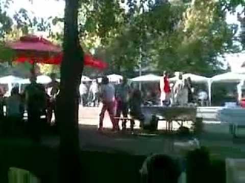 Dule harmonikas iz Crne Bare