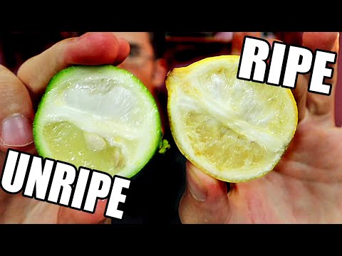 download lagu mp3 mp4 Ripe Lime, download lagu Ripe Lime gratis, unduh video klip Ripe Lime