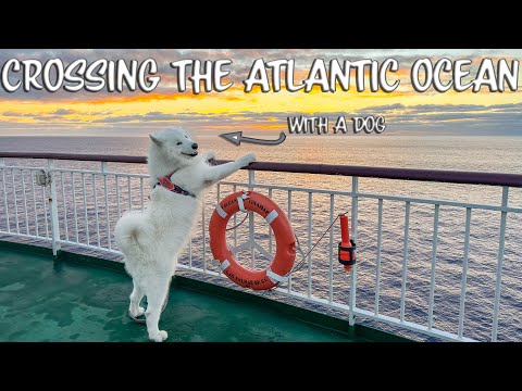 33 hour ferry with a dog (Huelva to Canary Islands)