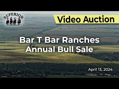 Bar T Bar Ranches Annual Bull Sale