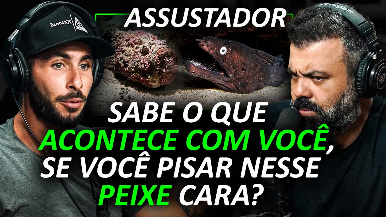 PROFUNDEZAS do MAR: "O TUBARÃO NÃO É O ANIMAL + PERIGOSO..." [AULA com IRMÃOS KATOOSH]