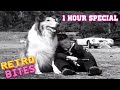 Kite Flying Lassie 1 Hour Special Full Episodes Retro Bites