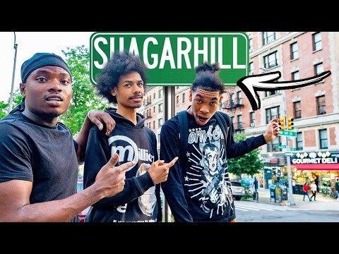 EXTREME DING DONG DITCH IN ONE OF THE MOST DANGEROUS HOODS IN NYC SUGARHILL | NOTICUZ