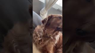 Crazy Girl #shorts #shotvids #viralshots #trendingshorts