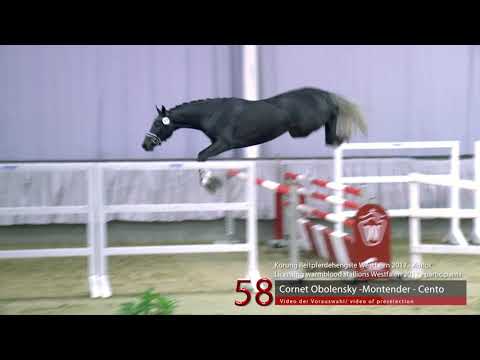 58 Junghengst v. Cornet Obolensky - Montender