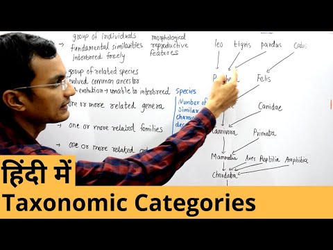 Taxonomic Categories in Hindi