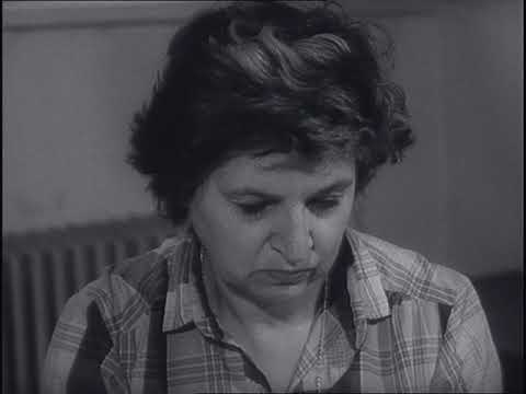 Českolovenský filmový týdeník 52/1981 50 let pražské ZOO