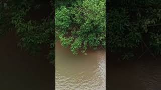Download lagu #music https://youtube.com/shorts/xhE4uxYipYw?si=QcGf4bUeLbpvjZl_ mp3 Download lagu #music https://youtube.com/shorts/xhE4uxYipYw?si=QcGf4bUeLbpvjZl_ mp3