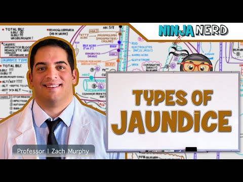 Gastrointestinal Teeth Anatomy