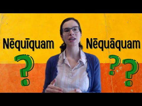 Latin lessons for beginners || Quid differt inter "nequiquam" et "nequaquam"?