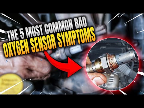 Signs Of A faulty Oxygen Sensor You won’t believe how much fuel you’re ...