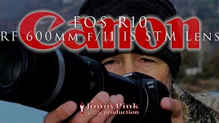 Canon R10 / RF 600mm f/11 IS STM Lens! Can I get good photos with and entry level set up? 📷