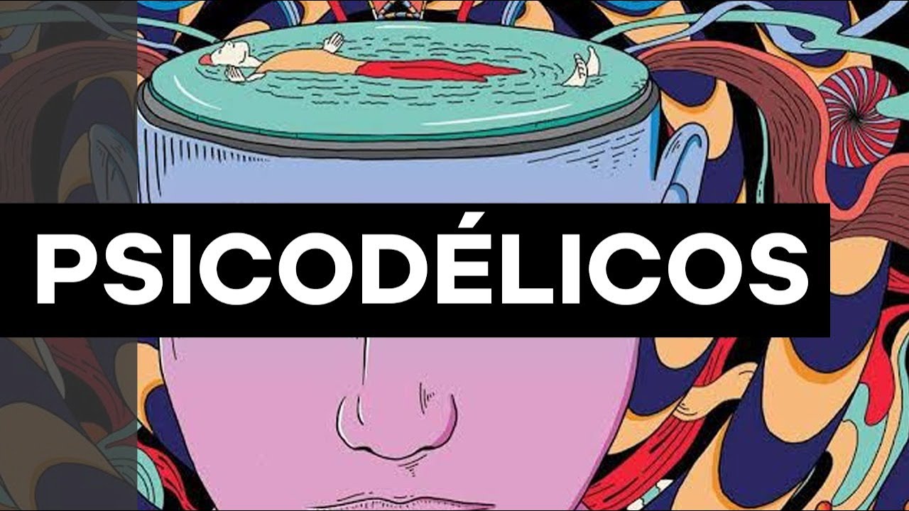 Psicodélicos na psicanálise | Christian Dunker | Falando nIsso 343