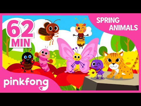 Animals and Bug Songs | +Compilation | Spring Songs | Pinkfong Songs for Children