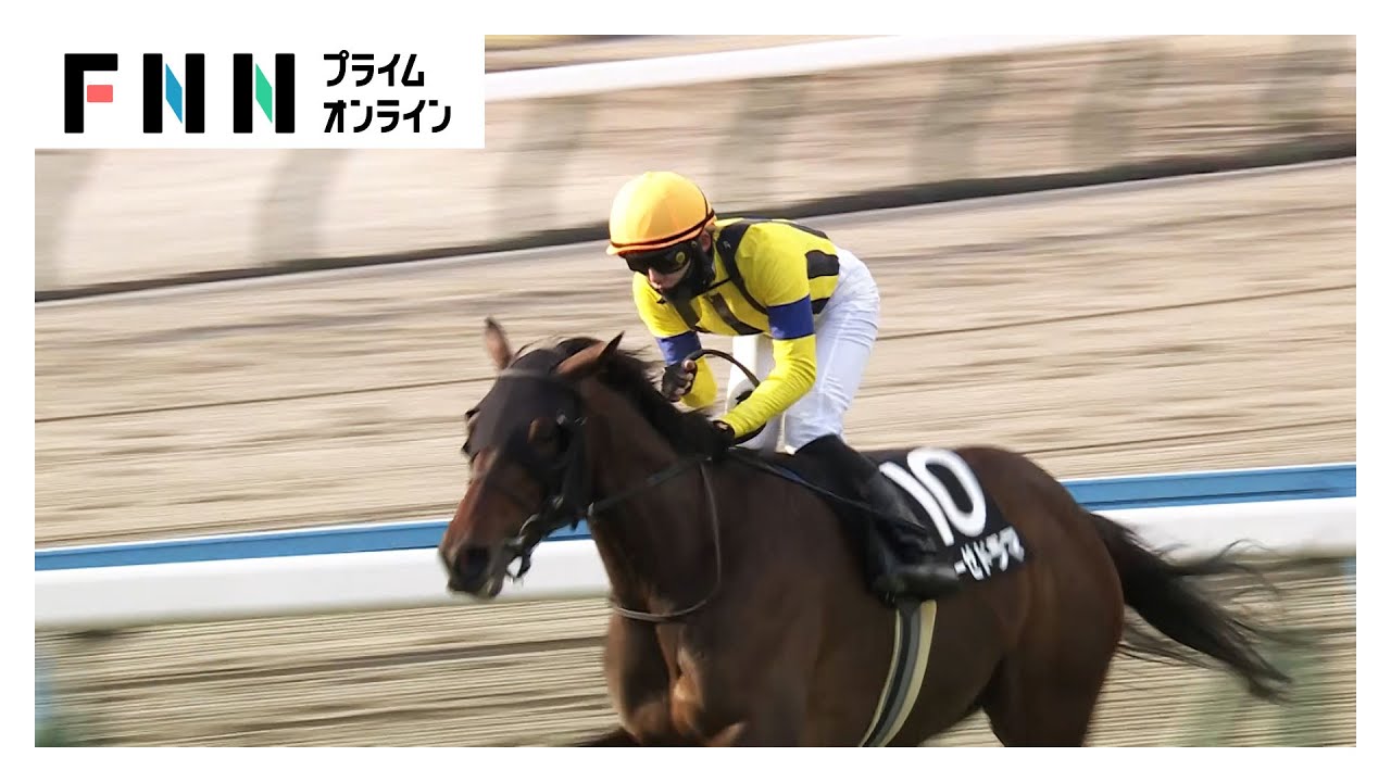 【小倉日経賞（OP）】東京・京都が積雪で異例の開催中止　小倉の主役は4歳牝馬レーゼドラマ（2026年02月08日）