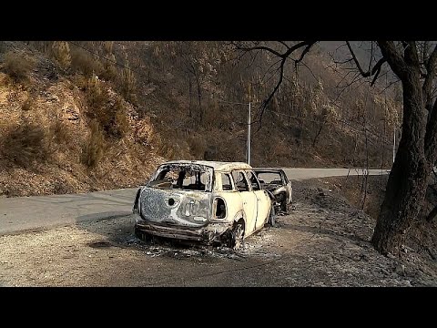 Mehr als 172.000 Hektar verbrannt: Portugal kämpft gegen mehrere Brände