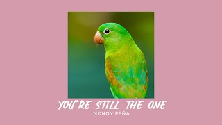 Download lagu Nonoy Peña - You're Still The One (Sped Up) mp3 Download lagu Nonoy Peña - You're Still The One (Sped Up) mp3
