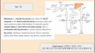 metolazone, thiazide like diuretic, Na⁺Cl⁻ symporter, edema, heart failure, kidney disease