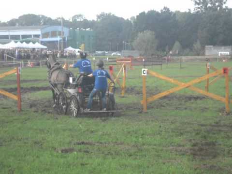 vozatajské závody v Gorzyce-Martin Cáb a Figo 2. překážka