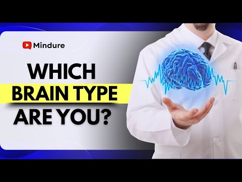 Which Brain Type are You have?