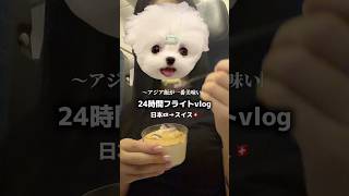 結局アジア飯が一番美味い🍚ほぼ機内食レポ✈️🇯🇵→🇨🇭#海外旅行 #海外 #旅行 #機内食