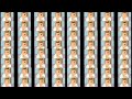 Peter Kill The Road Runner 1 073 741 824 Over Milion X Bilion Times