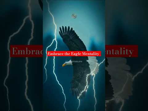 Embrace the Eagle Mentality for Success#motivation #discipline #success #mindset #eaglewisdom