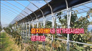 비가림 시설 하고나서 아쉬운 점들 몇가지~