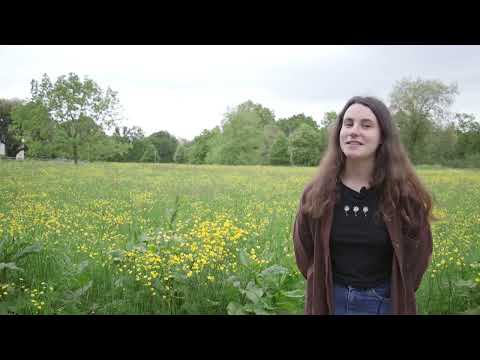 Discovering a new species at Reading play video