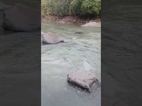 Rio torola cacaopera morazan 