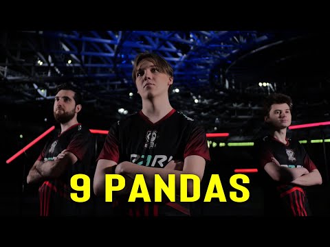 9 Pandas: The Best in the NEW META?!