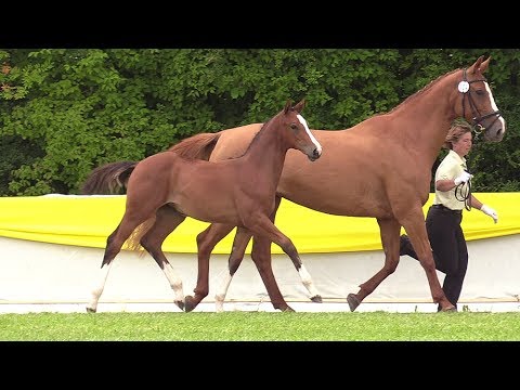 104 SF von Chalet - Slibovitz