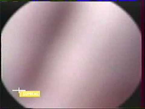 Channel Live Ft. KRS One - Mad Izm