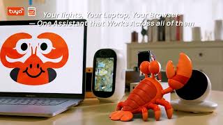 TuyaClaw：A Physical AI Assistant