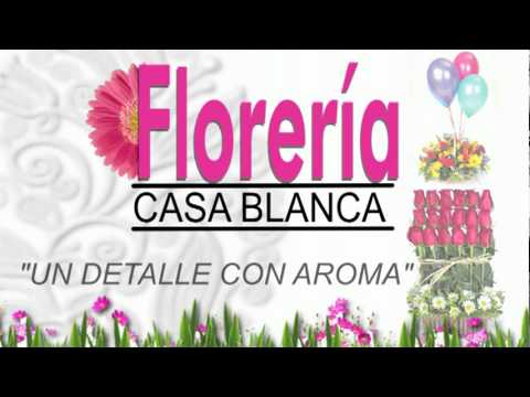 download lagu mp3 mp4 Florerias En Providencia, download lagu Florerias En Providencia gratis, unduh video klip Florerias En Providencia