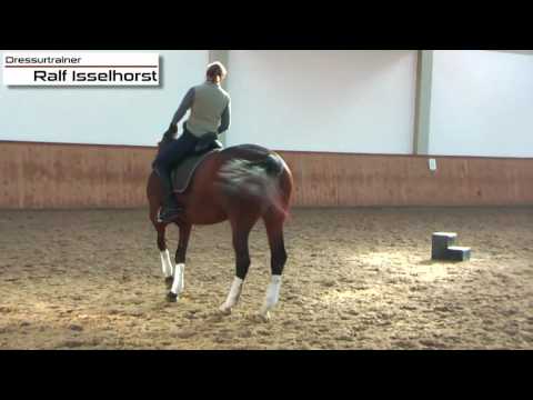 www.dressurtrainer.de Die richtigen diagonalen Hilfen im Schritt und Trab