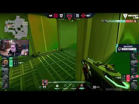 Insane Viper Clutch from XSET AYRIN