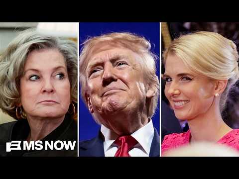 Where does WH Chief of Staff Susie Wiles stand on Harp’s closeness to Trump? 