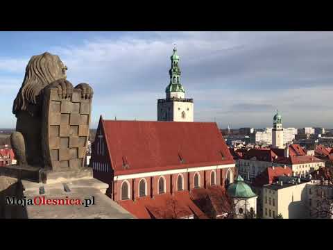 8.12.2018 Oleśnica widziana z wieży Zamku Książąt Oleśnickich