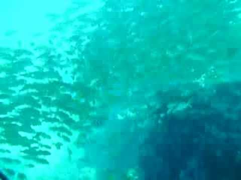 Makadi Bay Hausriff North, Makadi Bay,Ägypten