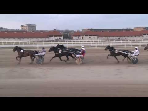 2017.03.11. 7. futam - HURRY UP STAR HENDIKEP