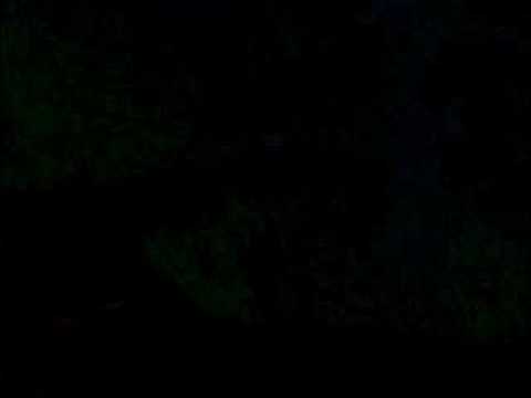 Conker's Bad Fur Day Walkthrough Part 1