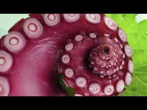 Światy wewnętrzne i zewnętrzne – Część 2 – Spirala - (IWOW Part 2, Polish)