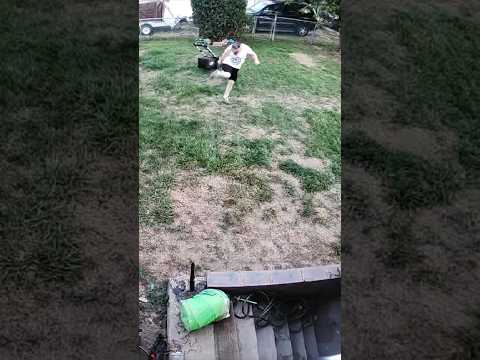 Viciously ATTACKED by SWARM of Yellow Jackets!