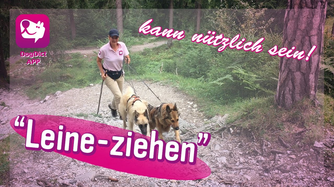 Folge 34: Hundetraining beim Wandern
