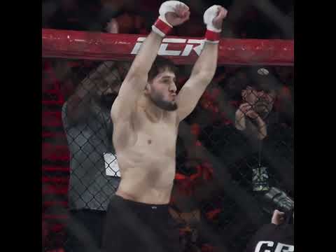 Bilal “Borz” Tipsaev 🐺