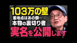 【※裏切り者※】国民民主党の１０３万の壁で動いたあの政治家たちについて森永親子が須田慎一郎さんに全てを話してくれました（虎ノ門ニュース切り抜き,宮沢洋一税調会長ほか）