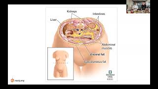 Thumbnail for Understanding Visceral Fat 🫁