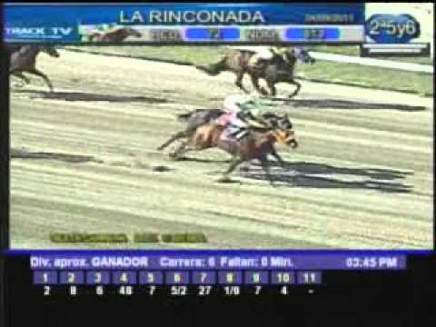 Resumen domingo 4 de septiembre 2011 - La Rinconada