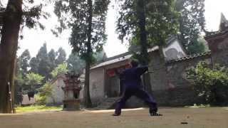 Wudang Chun Yang Ba Gua Sword